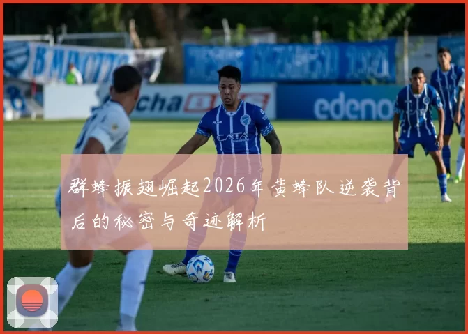 群蜂振翅崛起2026年黄蜂队逆袭背后的秘密与奇迹解析