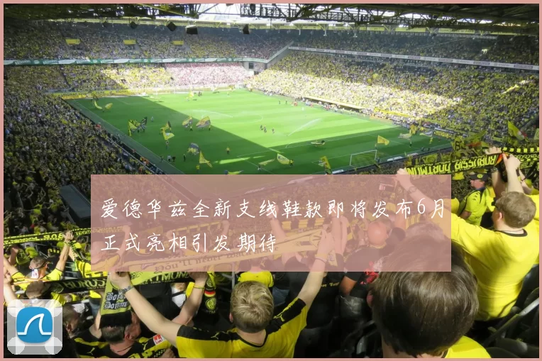 爱德华兹全新支线鞋款即将发布6月正式亮相引发期待